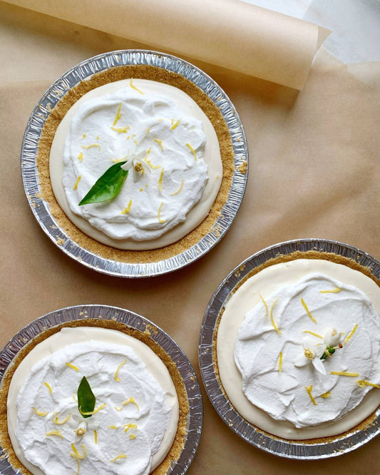 The Lemon Pie Project by Paige Appel
