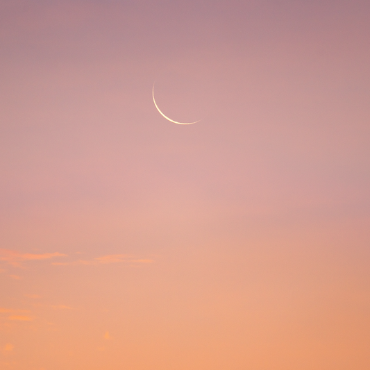 New Moon Circle (Nov 1)