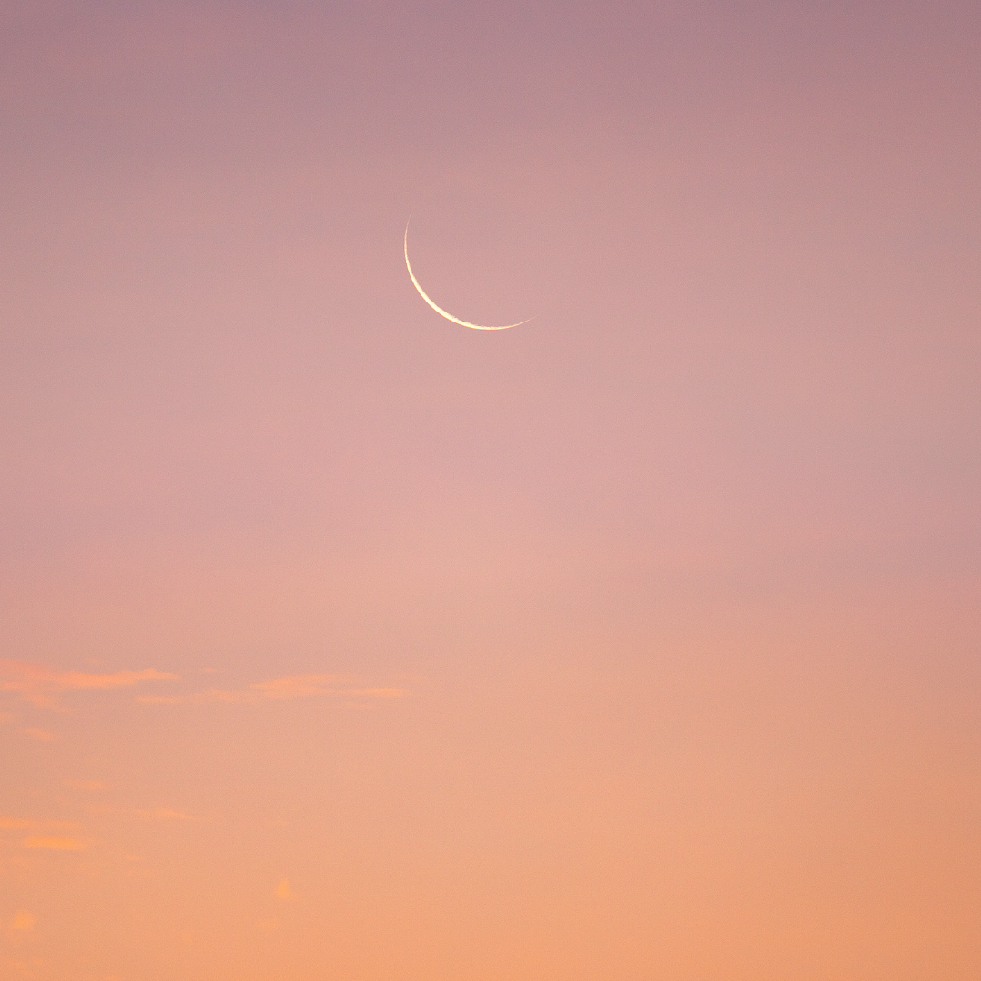 New Moon Circle (Nov 1)