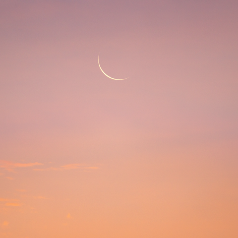 New Moon Circle (Nov 1)