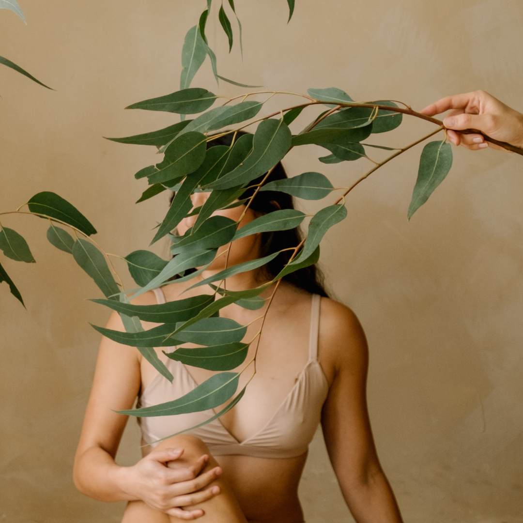 Self-Trust Circle (Feb 22)