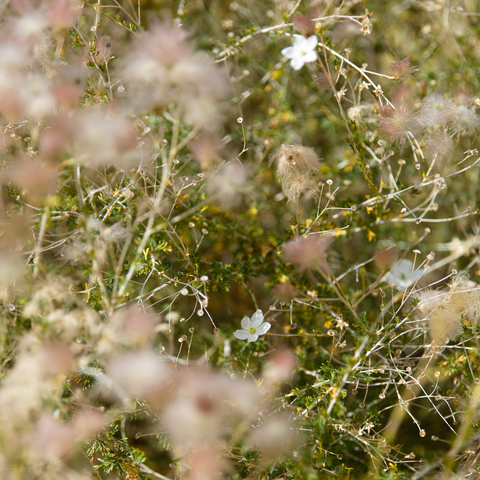 Divorce Support - Virtual (Feb 26)