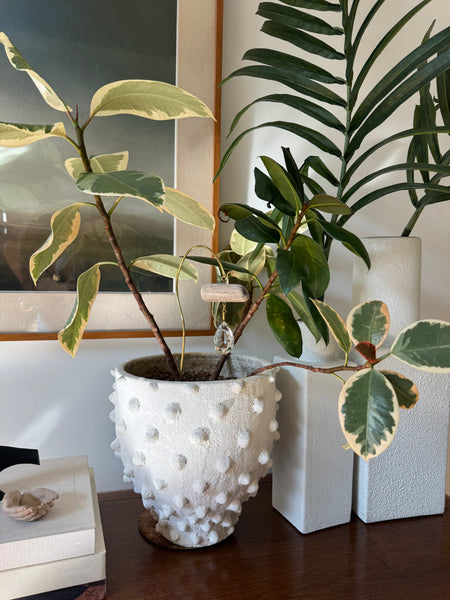 PLANTY SUN CATCHER STICK