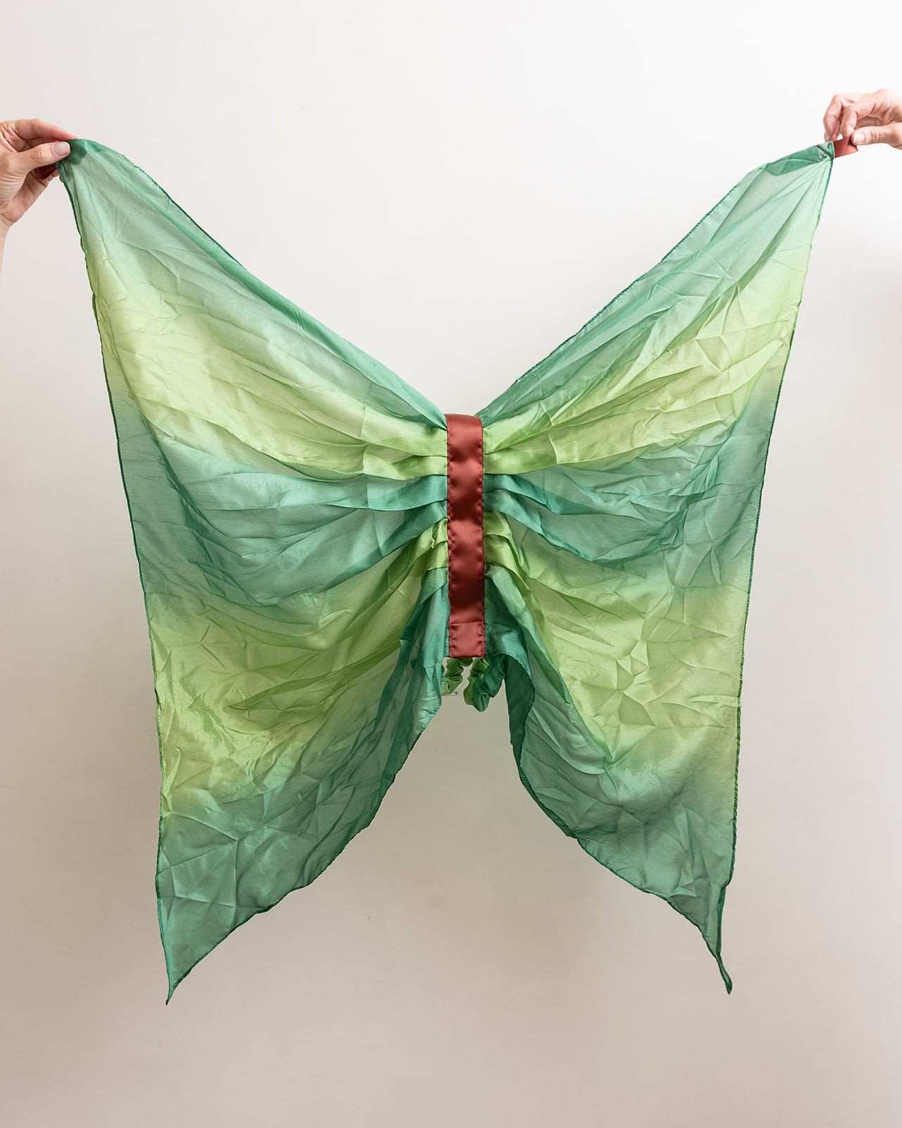 SILK BUTTERFLY WINGS